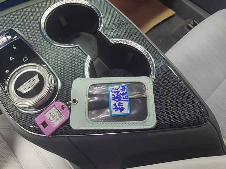 Фото 9 - Cadillac Optiq