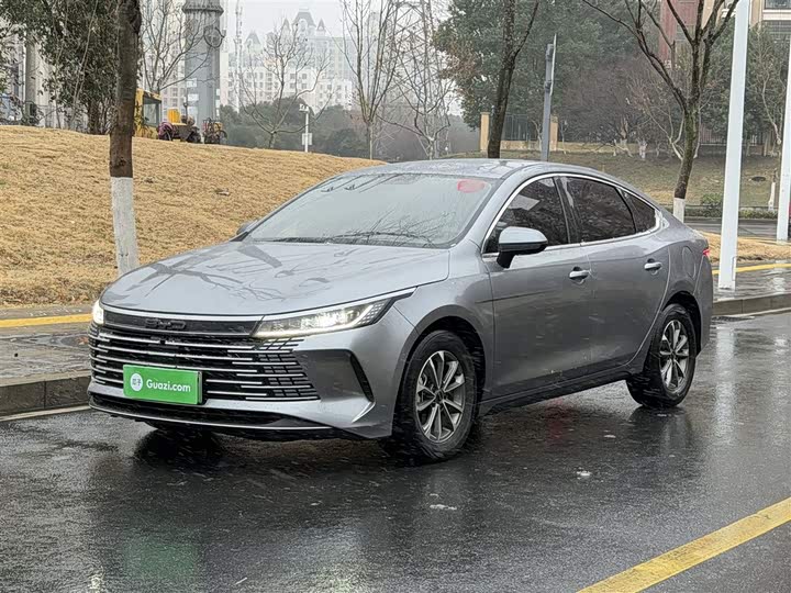 Фото 1 - BYD Destroyer 05