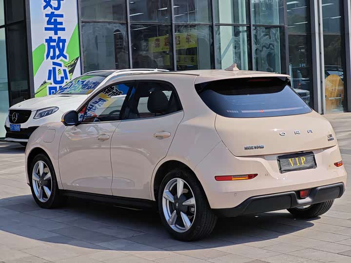 Фото 4 - Ora Good Cat (03)