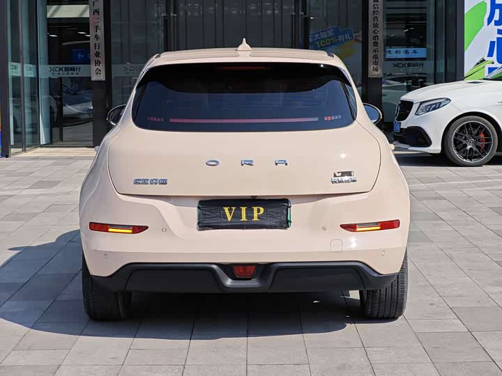 Фото 5 - Ora Good Cat (03)