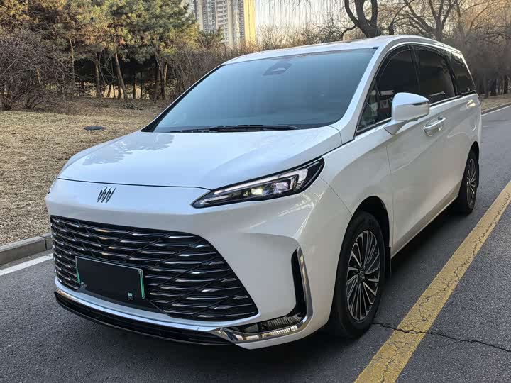 Фото 1 - Buick GL8 Hybrid