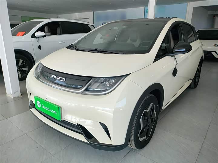 Фото 1 - BYD Dolphin