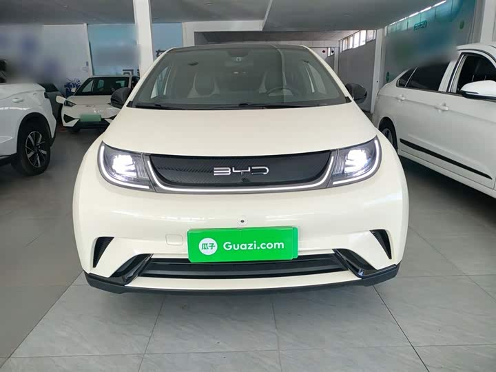 Фото 3 - BYD Dolphin