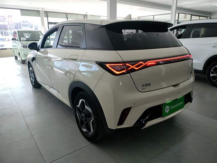 Фото 5 - BYD Dolphin