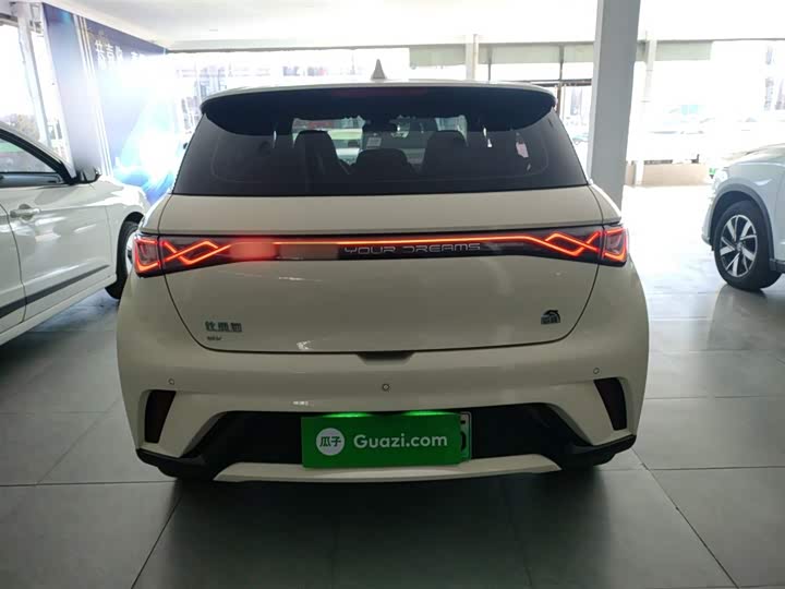 Фото 6 - BYD Dolphin