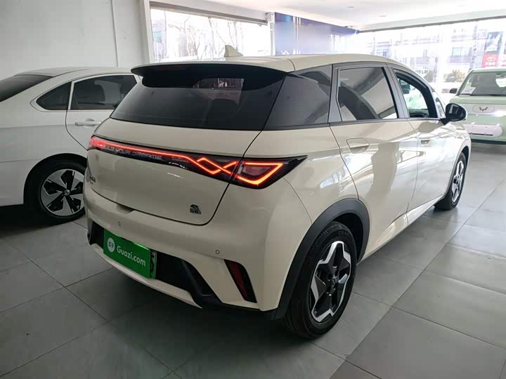 Фото 7 - BYD Dolphin