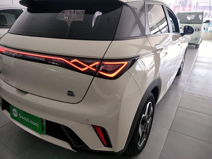 Фото 8 - BYD Dolphin