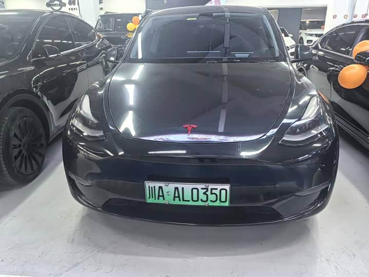 Фото 2 - Tesla Model Y