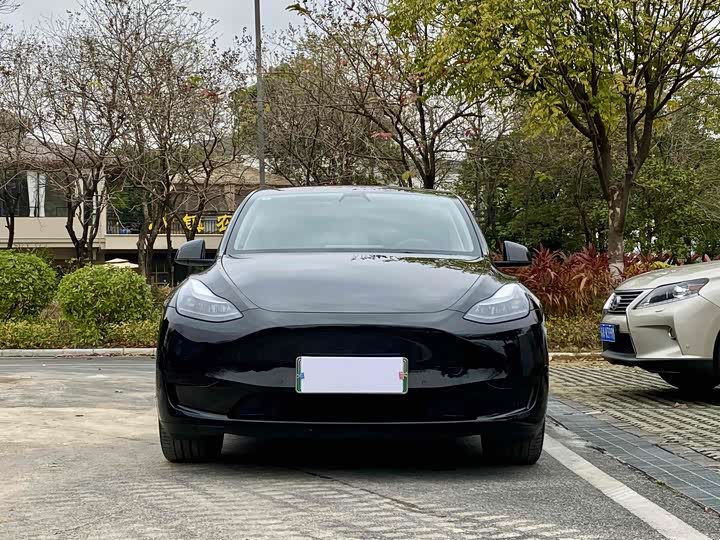 Фото 2 - Tesla Model Y