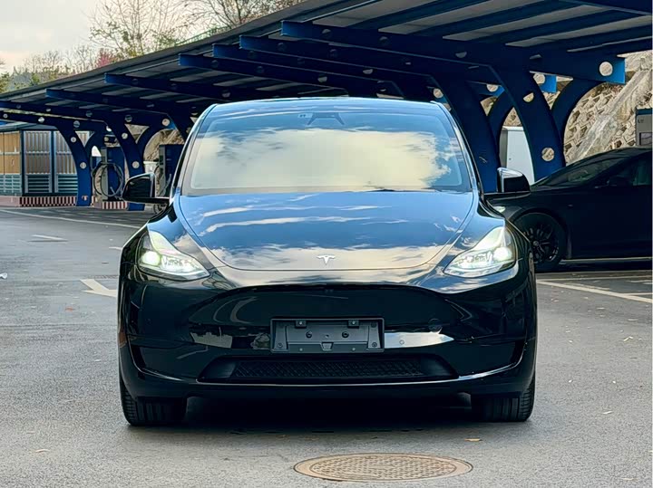 Фото 2 - Tesla Model Y
