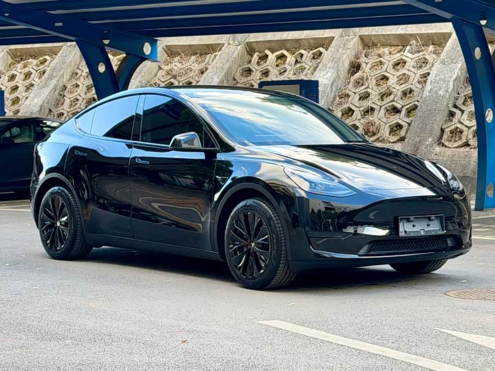 Фото 3 - Tesla Model Y