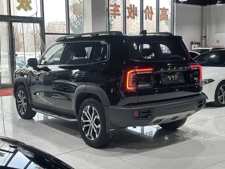 Фото 7 - Haval Dargo