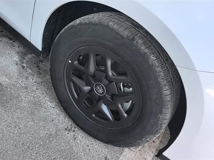 Фото 6 - BYD Qin Plus