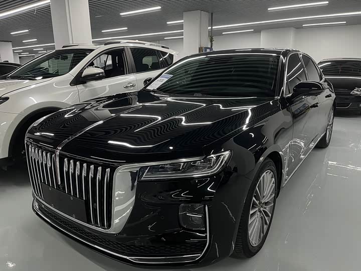 Фото 1 - Hongqi H9