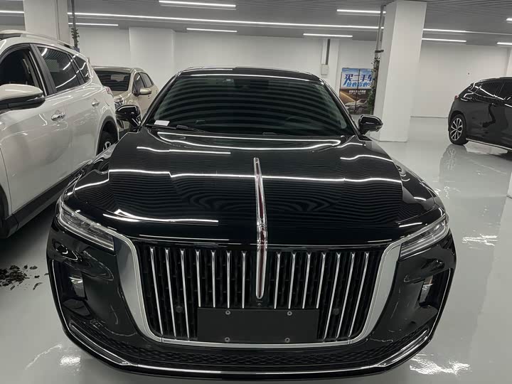 Фото 2 - Hongqi H9