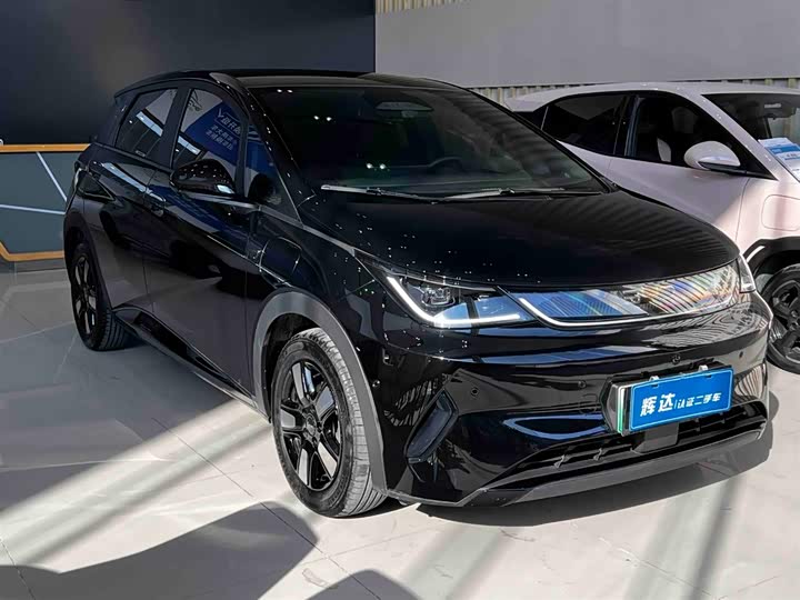 Фото 3 - BYD Dolphin