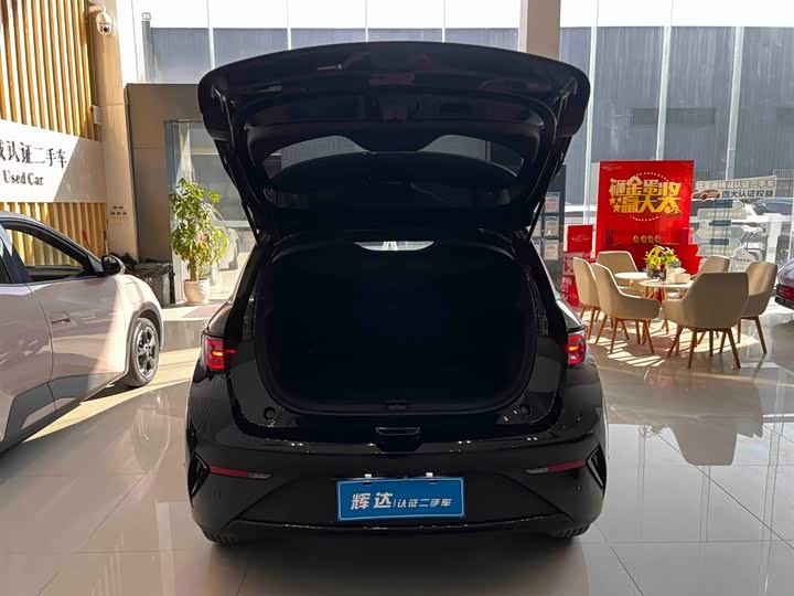 Фото 5 - BYD Dolphin