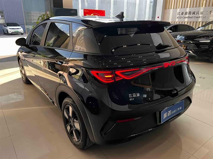 Фото 6 - BYD Dolphin