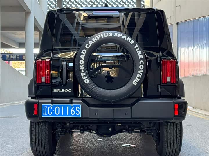 Фото 4 - Tank 300