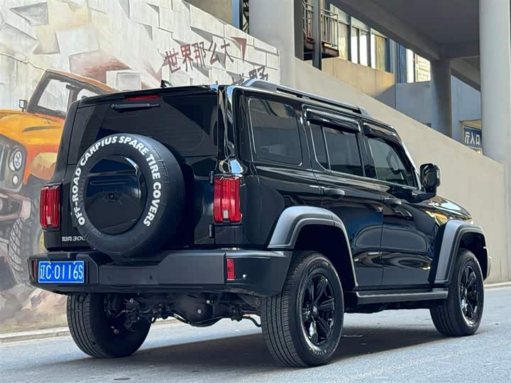 Фото 5 - Tank 300