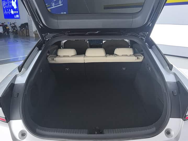 Фото 4 - XPeng F57