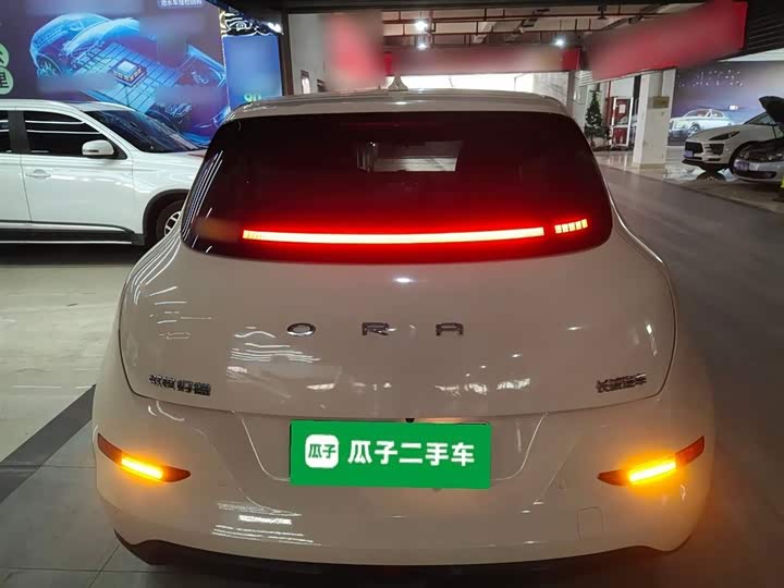 Фото 6 - Ora Good Cat (03)