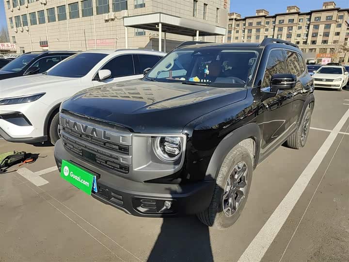 Фото 2 - Haval Dargo