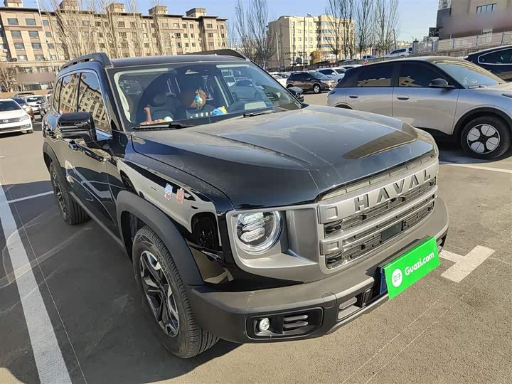 Фото 4 - Haval Dargo
