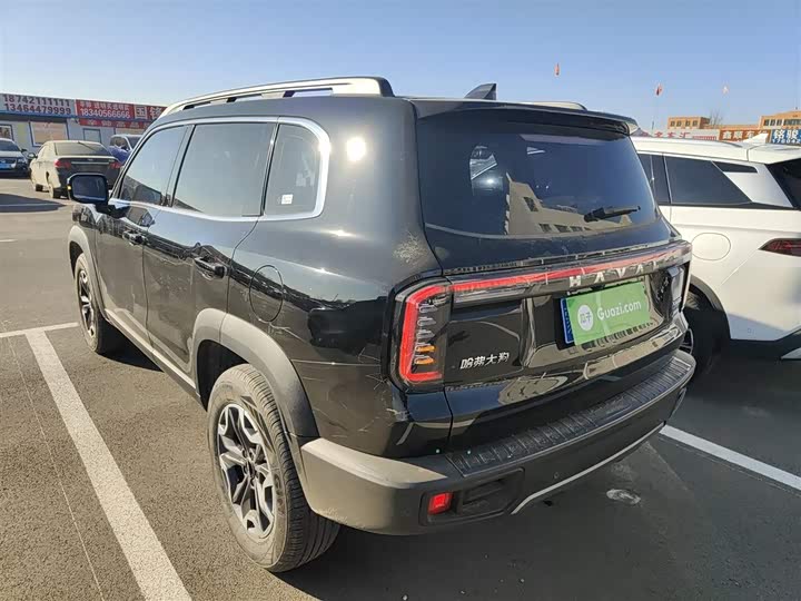 Фото 5 - Haval Dargo