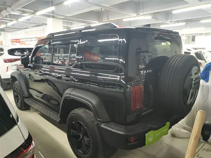 Фото 5 - Tank 300