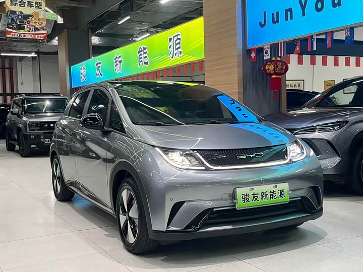 Фото 2 - BYD Dolphin