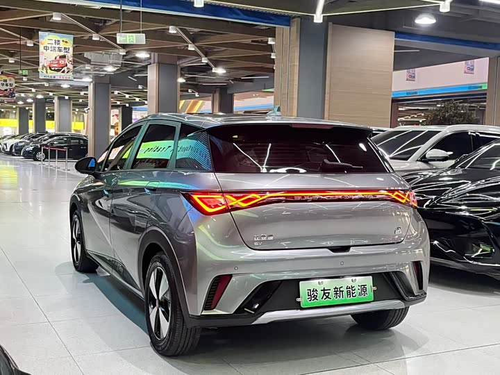 Фото 4 - BYD Dolphin