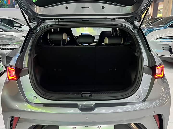 Фото 8 - BYD Dolphin