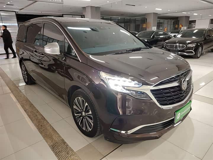 Фото 4 - Buick GL8 ES