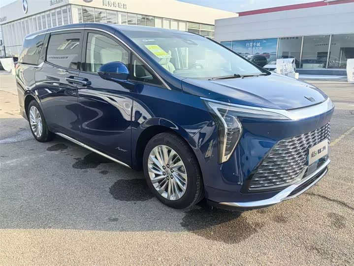 Фото 4 - Buick GL8 Century