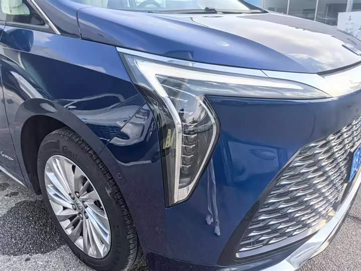 Фото 5 - Buick GL8 Century