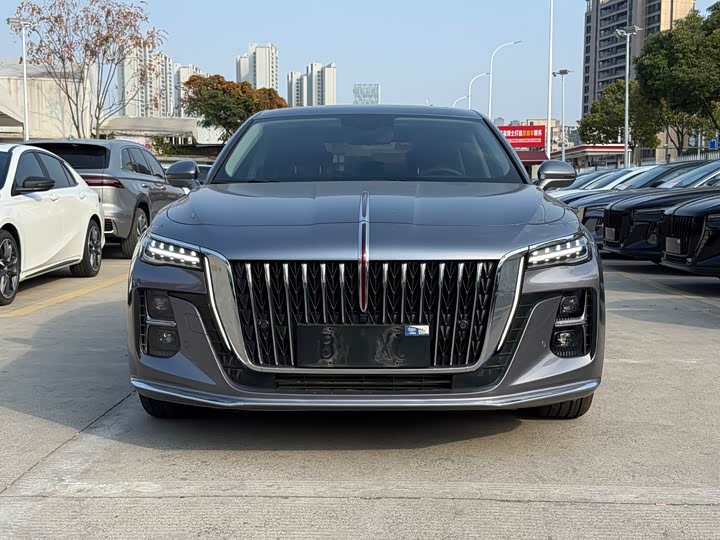Фото 2 - Hongqi H5