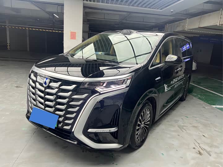 Фото 1 - Denza D9