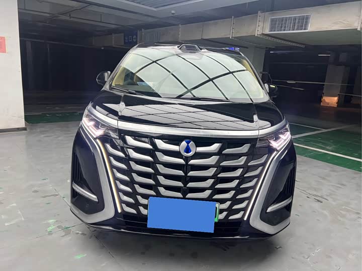 Фото 2 - Denza D9