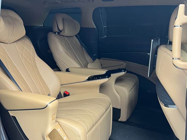 Фото 8 - Denza D9