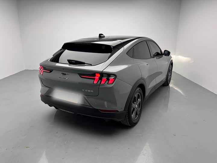 Фото 4 - Ford Mustang Mach-E