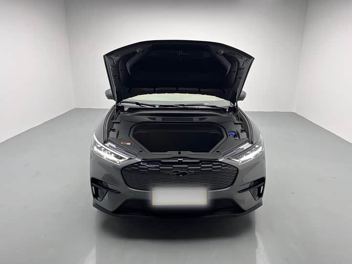 Фото 7 - Ford Mustang Mach-E