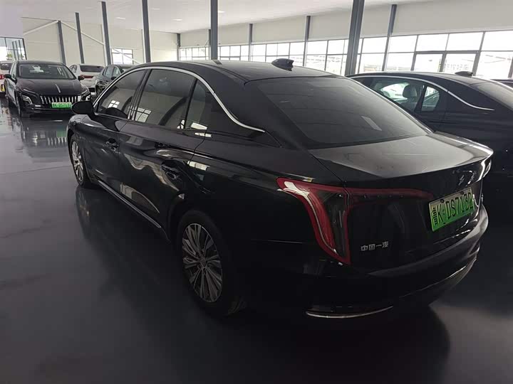 Фото 5 - Hongqi E-QM5