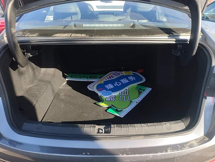 Фото 4 - BYD Qin Plus