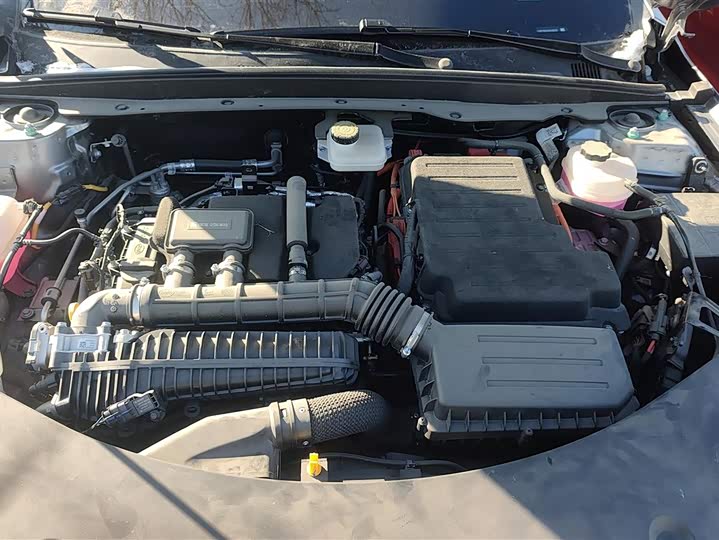 Фото 8 - BYD Qin Plus