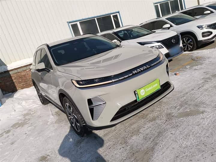 Фото 4 - Haval Ruge Max