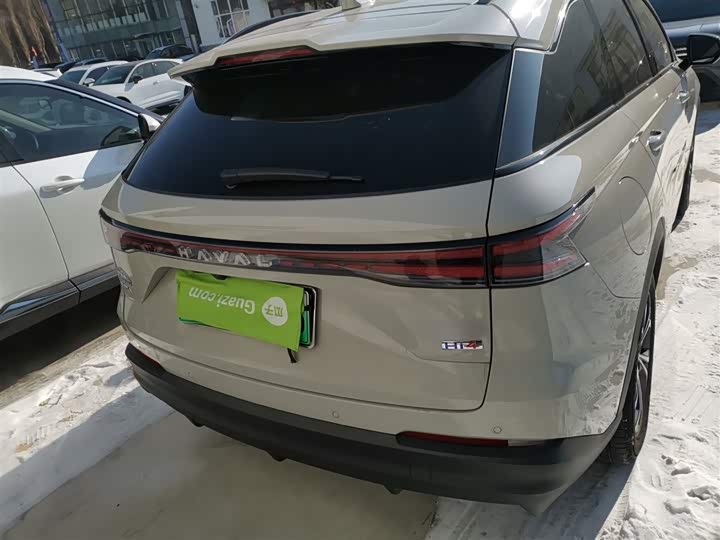 Фото 6 - Haval Ruge Max