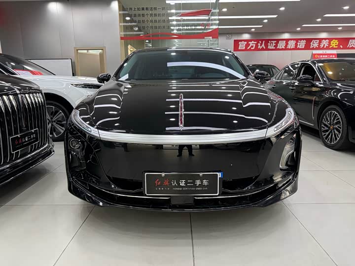 Фото 2 - Hongqi E-QM5