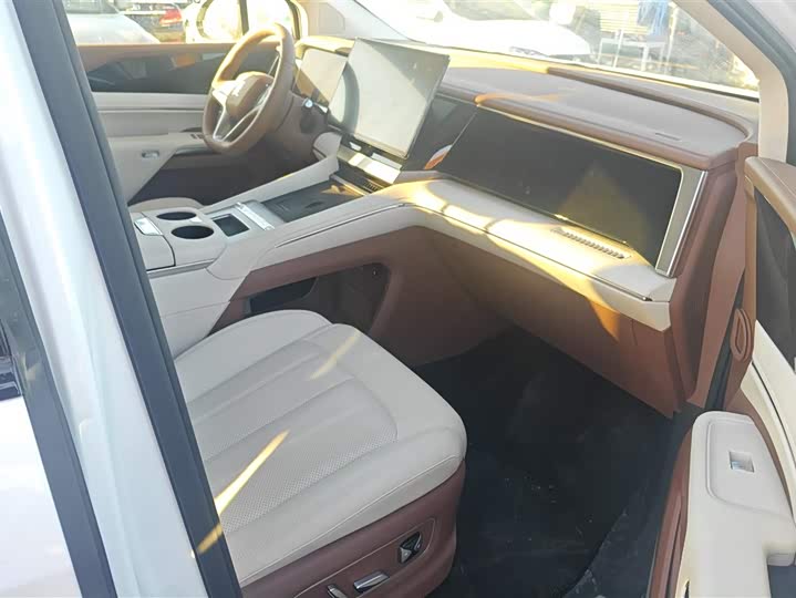 Фото 6 - BYD Xia