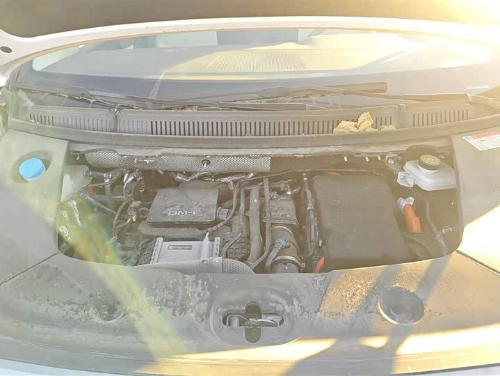 Фото 8 - BYD Xia